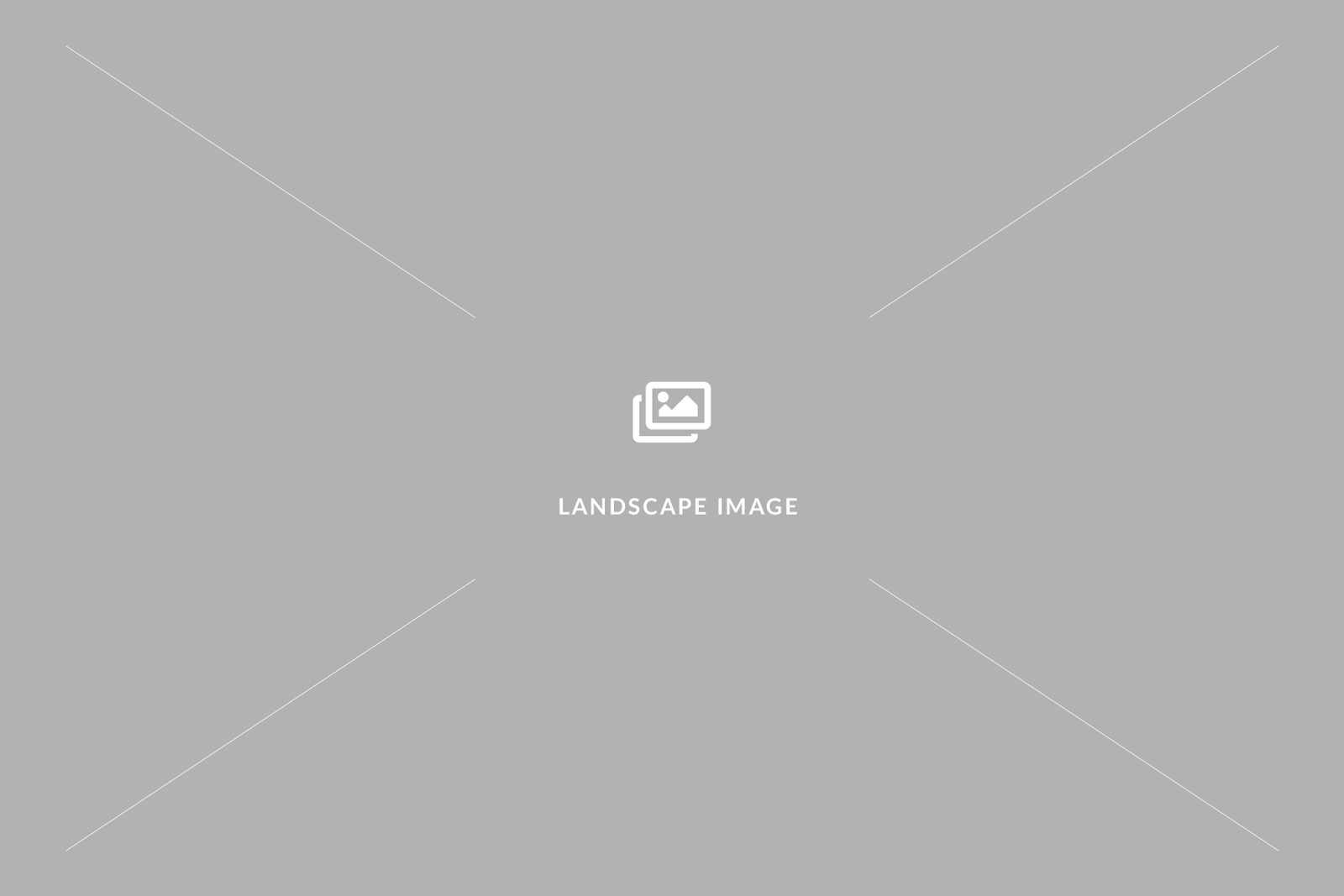 img-placeholder-landscape